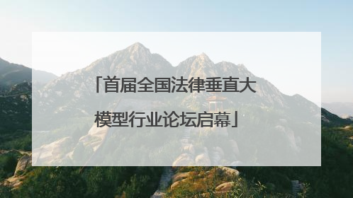 首届全国法律垂直大模型行业论坛启幕